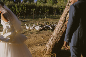 A Chic Sun-Drenched Wedding Amongst a Free-Range Farm Estate