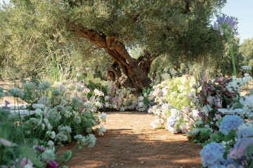 A Vivid Wedding Celebration in Puglia’s Idyllic Countryside