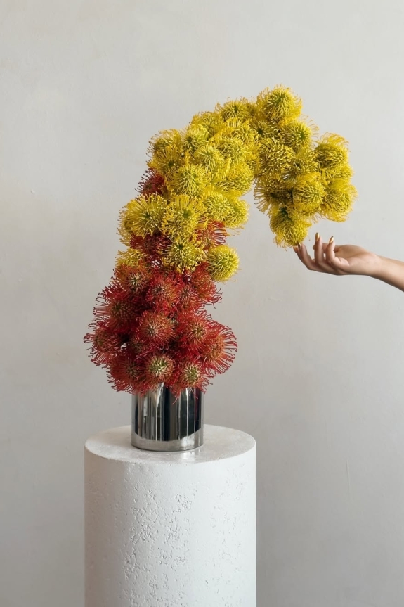 Behind the Scenes: The Flowerslinger