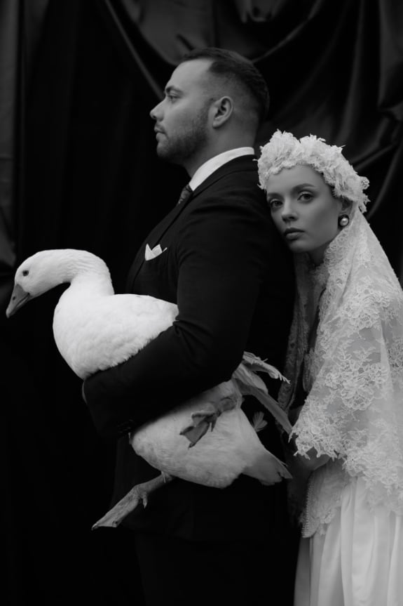 Of Roots and Feathers