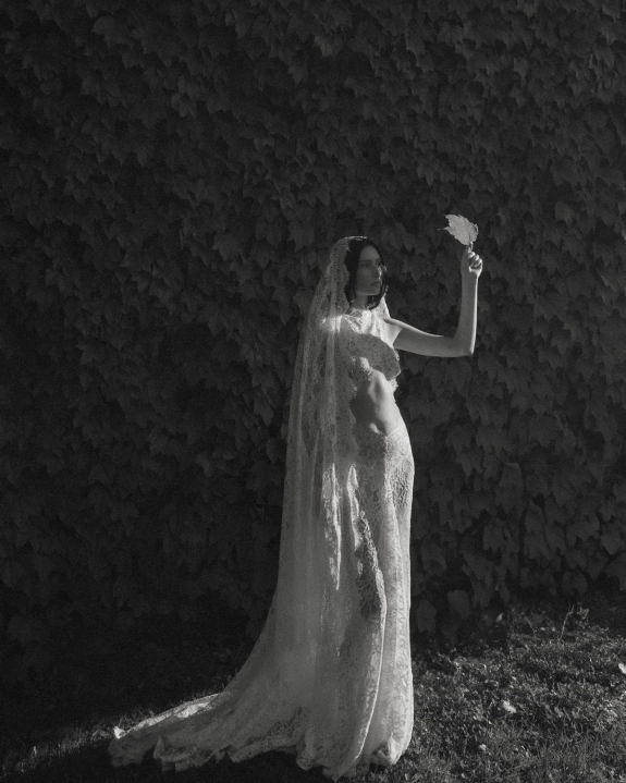 Laced in Light & Ivy