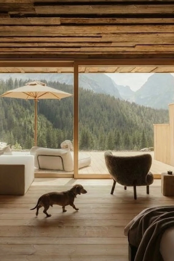15 Pet-Friendly Luxury Hotels in Europe Worth Traveling For