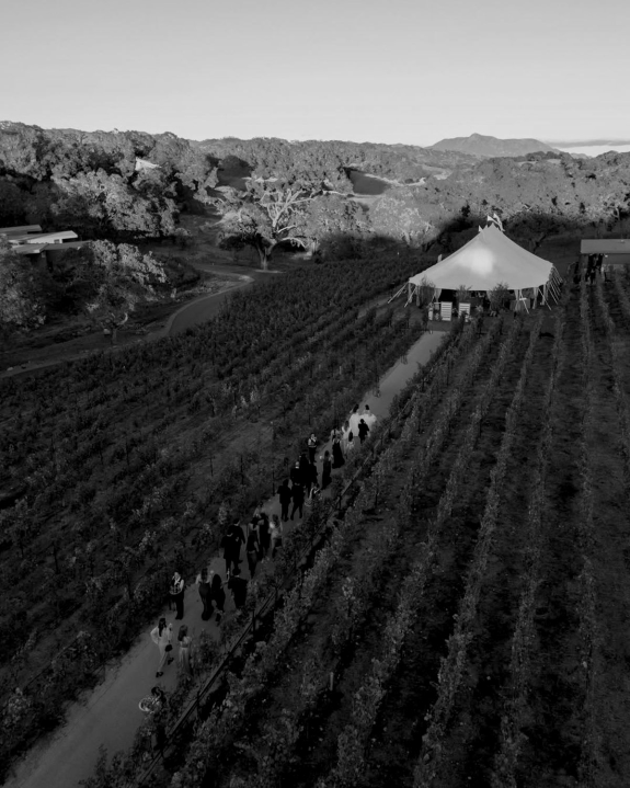 10 Best Vineyard Wedding Venues in the US