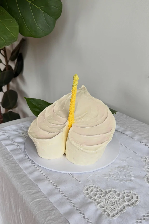 18 Best Cake Artists in the US
