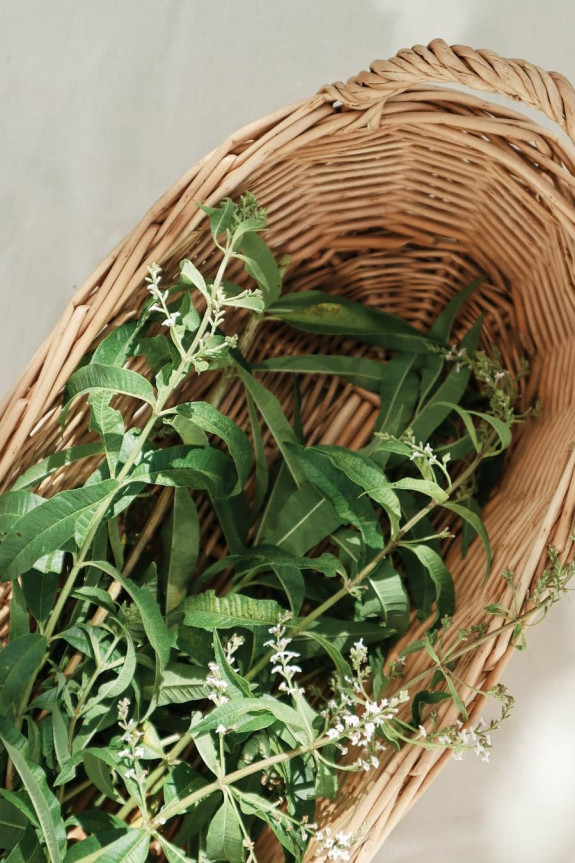 Herbaceous Bridal Bouquets