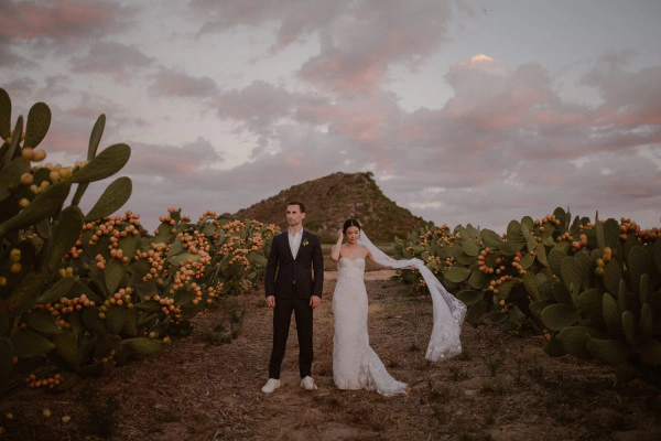Best Wedding Venues in Cape Town — photo 1
