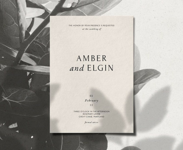 Stationery Bliss & Bone