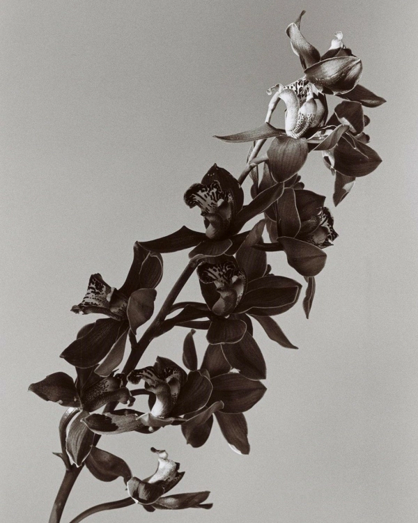 These 7 Fragrances are Perfect for a Wedding — photo 2