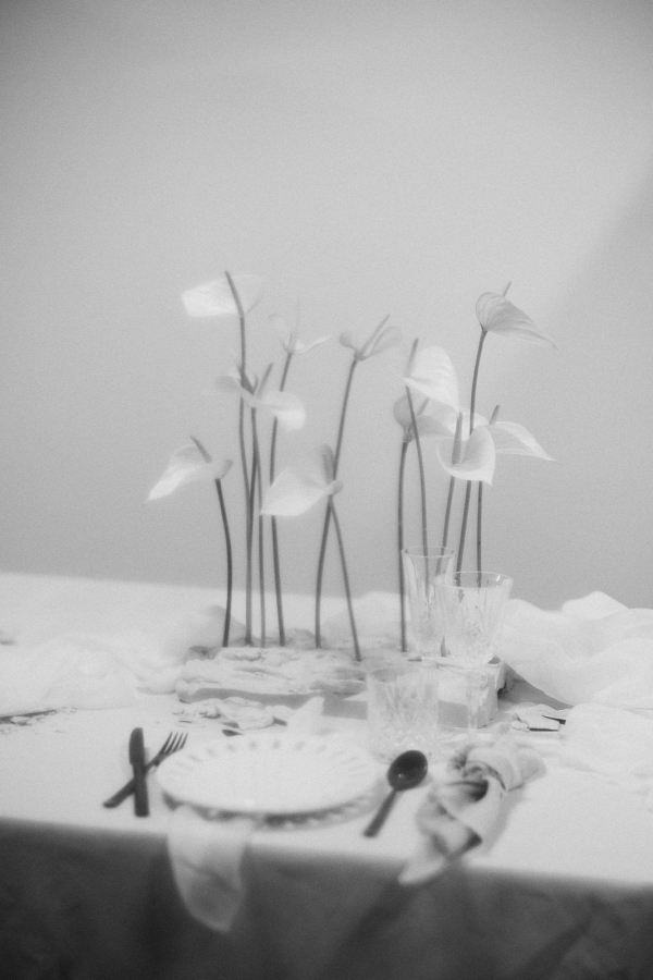 Photographers Atmosphere Fotografia