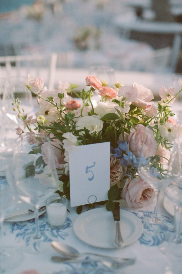 Photographers The Light + Color