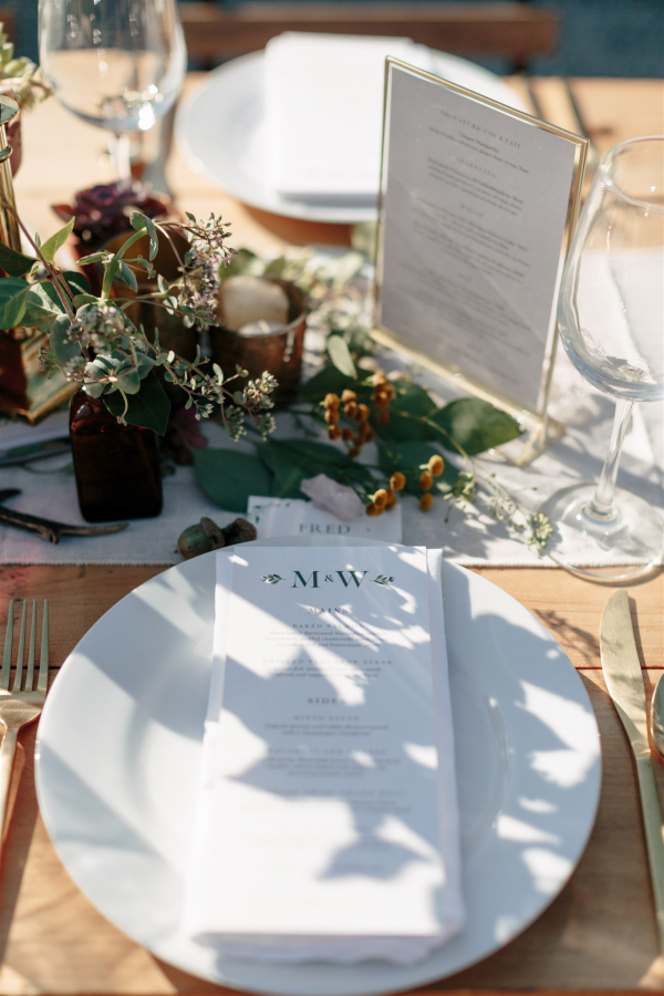 Photographers The Light + Color