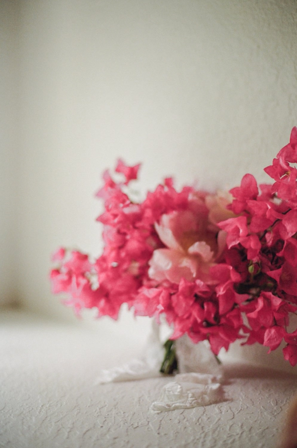 Photographers The Light + Color