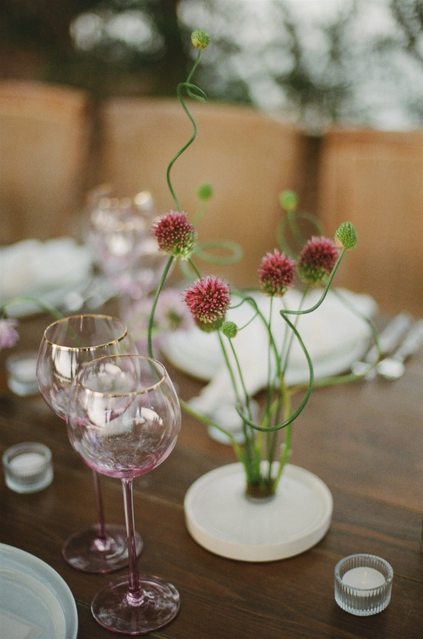 Photographers The Light + Color