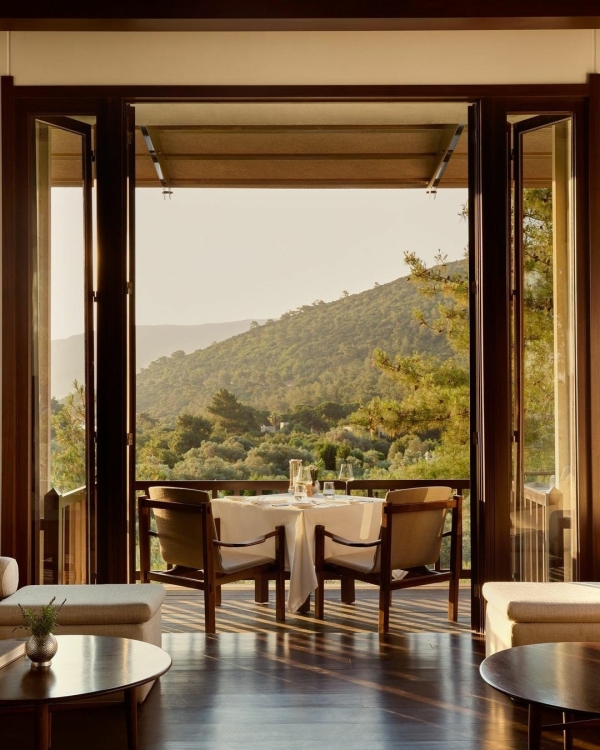 6 Apps to Help You Plan Your Perfect Honeymoon