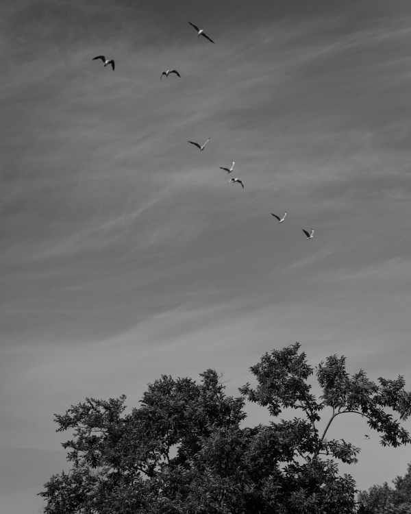 Beautiful Wedding in Cape Town | Ksenia & Alexander Timeless Wedding in South Africa