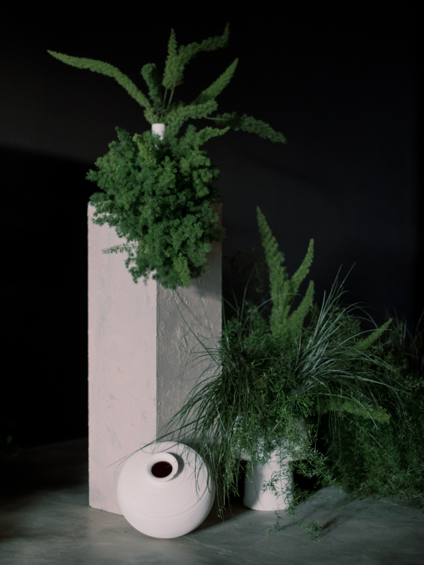 Finding Querência: A Visual Story of Self-Discovery