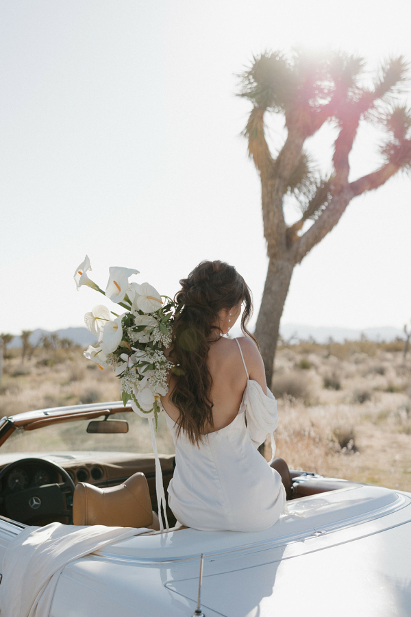 Photographers Cassidy O Photos