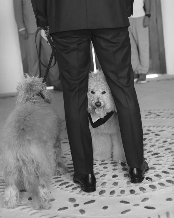 The Call Her Daddy Podcast Host's Riviera Maya Wedding