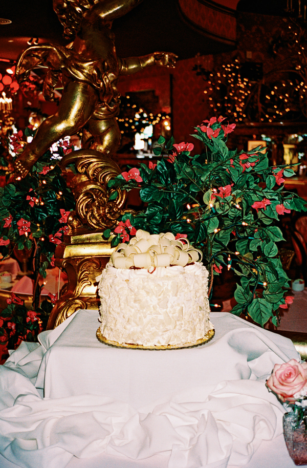 Photographers Bee Photos