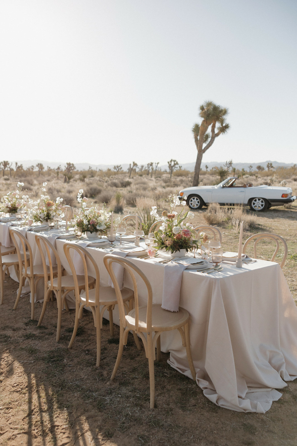 Photographers Cassidy O Photos