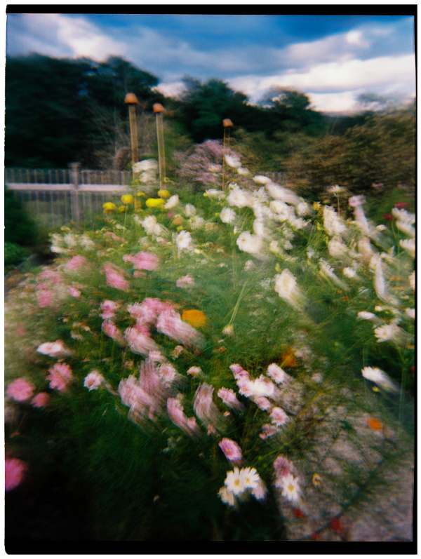 Beautiful Backyard Wedding in Massachusetts | End-of-Summer Wedding Under the Tent