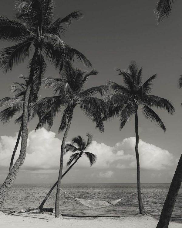 Wedding Photography Timeline | How to Plan Your Wedding Photography Schedule