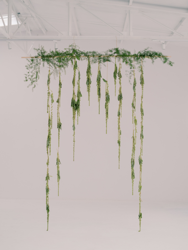 Finding Querência: A Visual Story of Self-Discovery