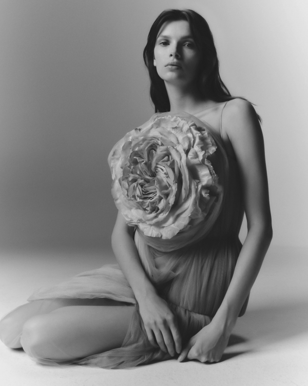 New Collection of Wedding Dresses from Daniel Frankel | Bridal Gowns from Daniel Frankel Designer