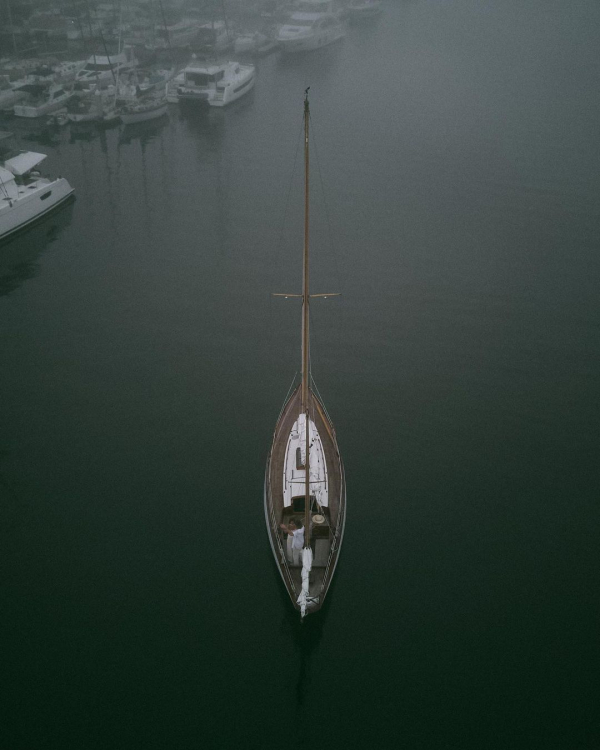 Lovers in the Mist | Wedding Photoshoot in California