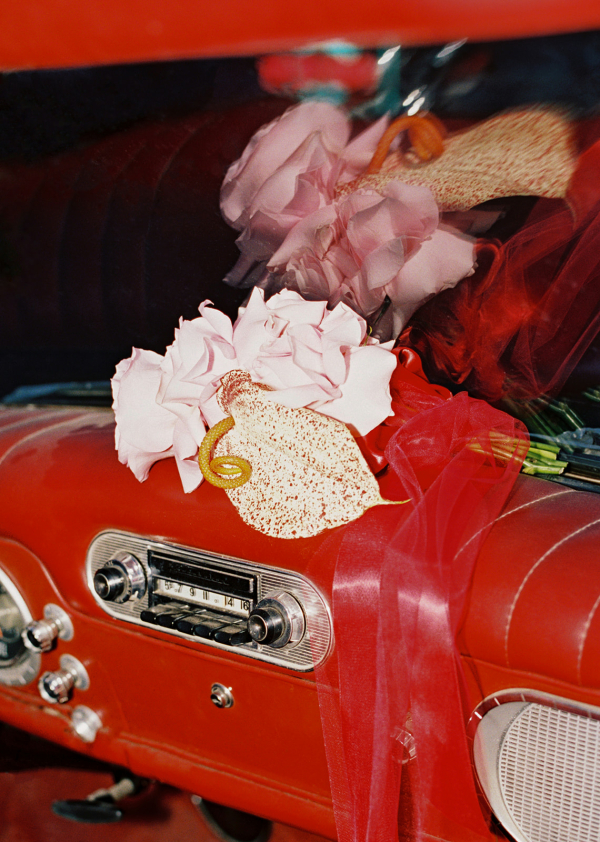 Photographers Bee Photos