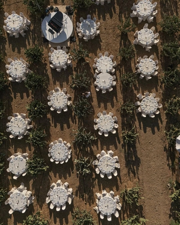 Everything You Need to Know About Drone Wedding Photography — photo 2