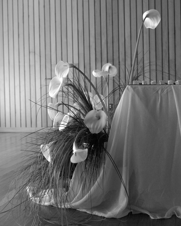 Inside THE WED’s NYC Soirée at The Standard, High Line