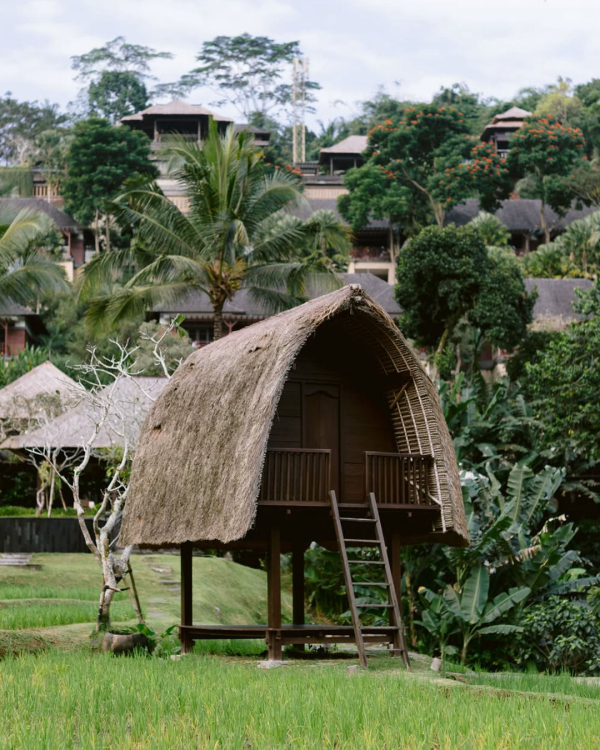 The Top Wedding & Honeymoon Destinations for 2025 According to Pinterest