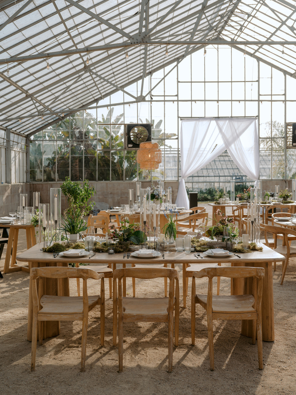 Planners Orange Blossom Special Events