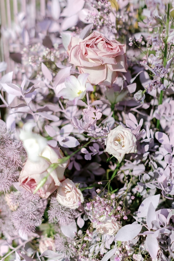 Photographers Óscar Guillén