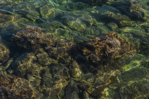 Venues Minos Beach Art Hotel