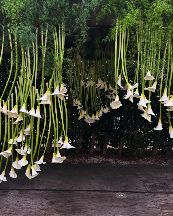 50 Unique Calla Lily Decor Ideas for Every Wedding Style