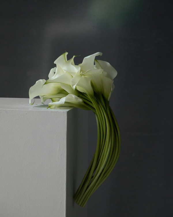 50 Unique Calla Lily Decor Ideas for Every Wedding Style