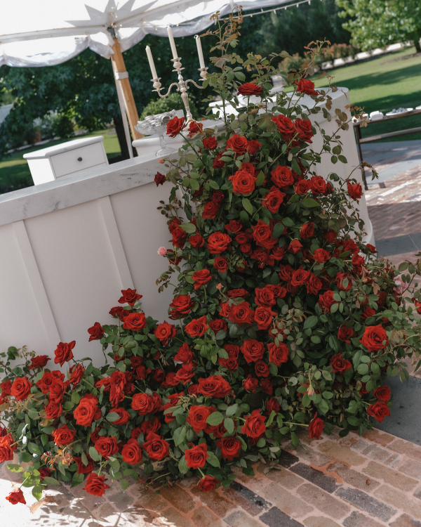 A Romantic Garden Affair in the Australian Countryside