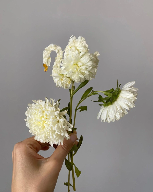 40 Unique Spring Wedding Bouquet Ideas We’re Obsessed With Right Now — photo 1