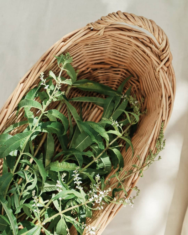 Herbaceous Bridal Bouquets | Examples