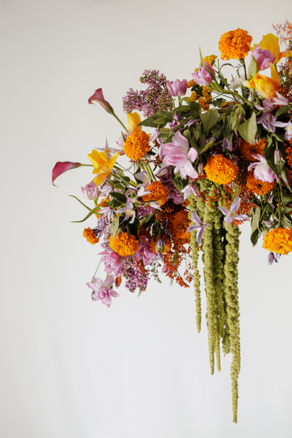 Florists Tepee Sauvage