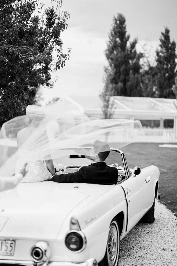 Photographers Kinship by Kristy