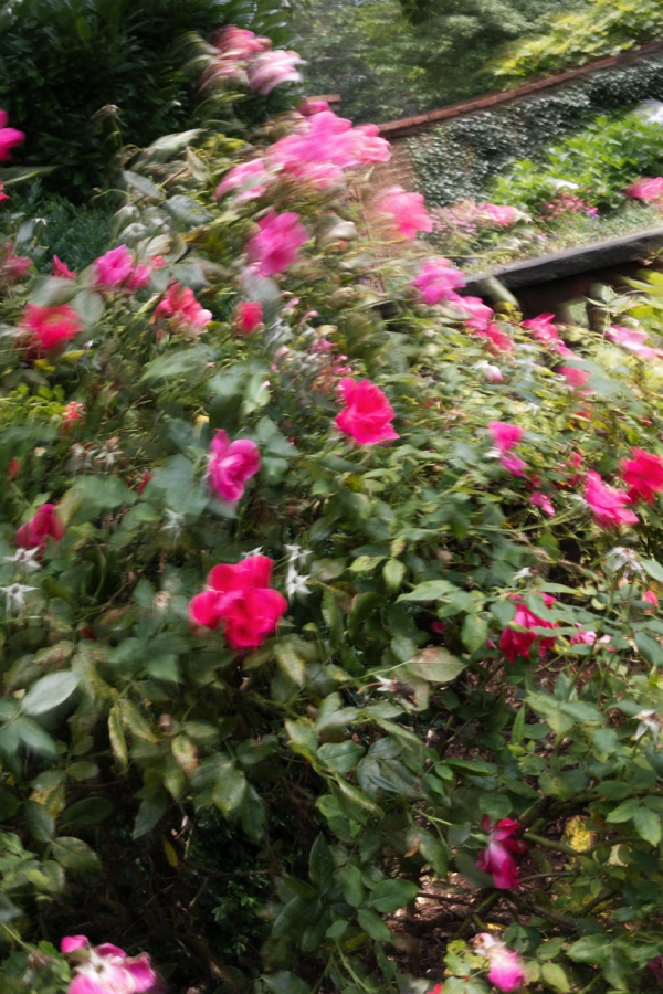 Photographers Kyla Jeanette