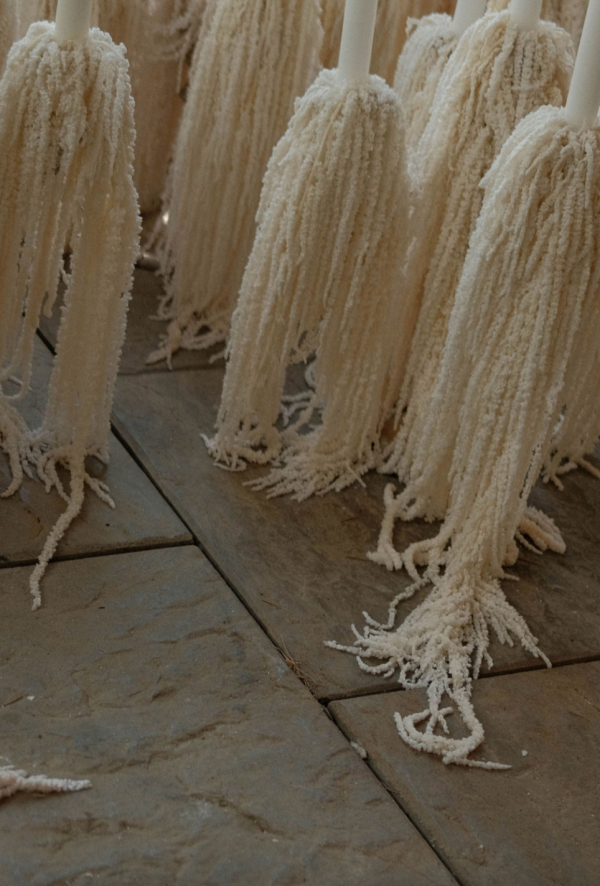 Florists Tepee Sauvage