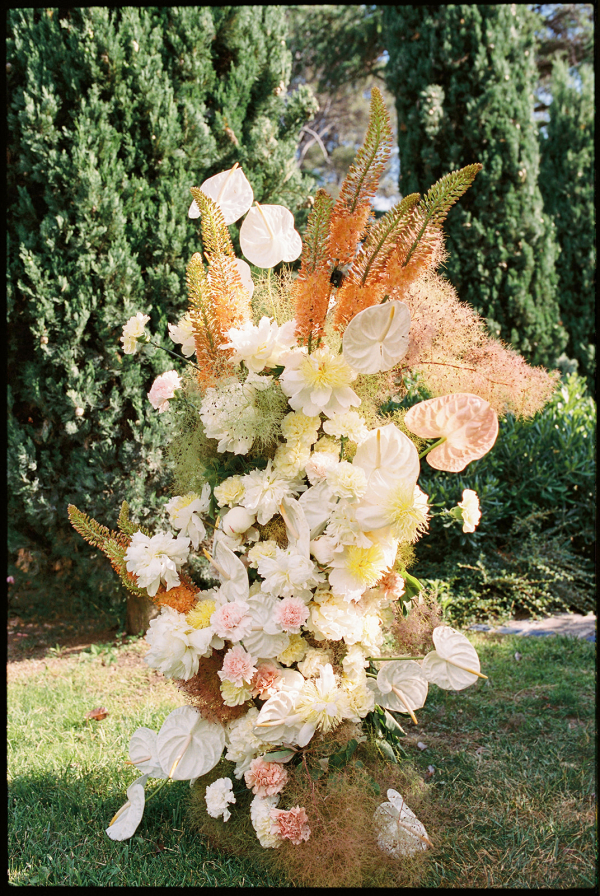 Florists Tepee Sauvage