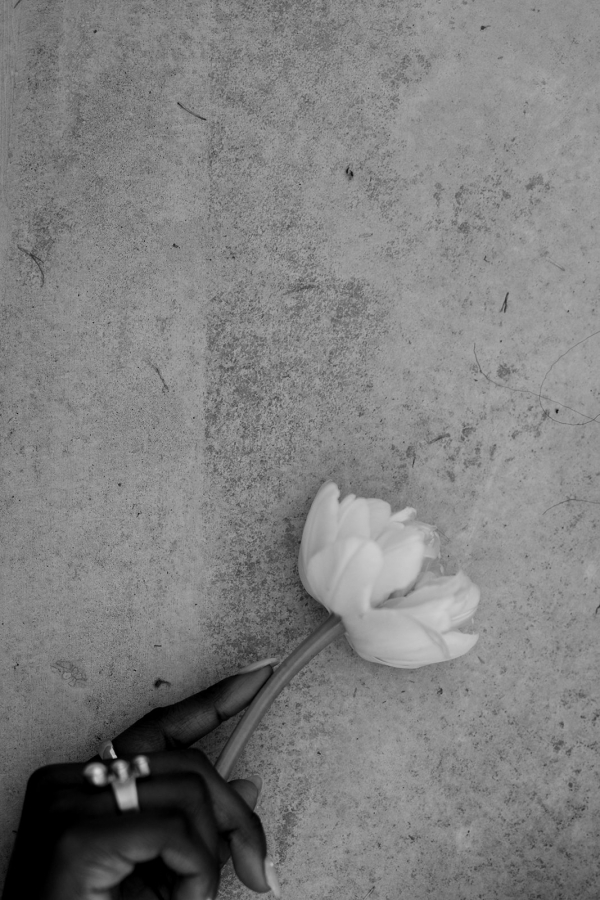 Photographers Kinship by Kristy