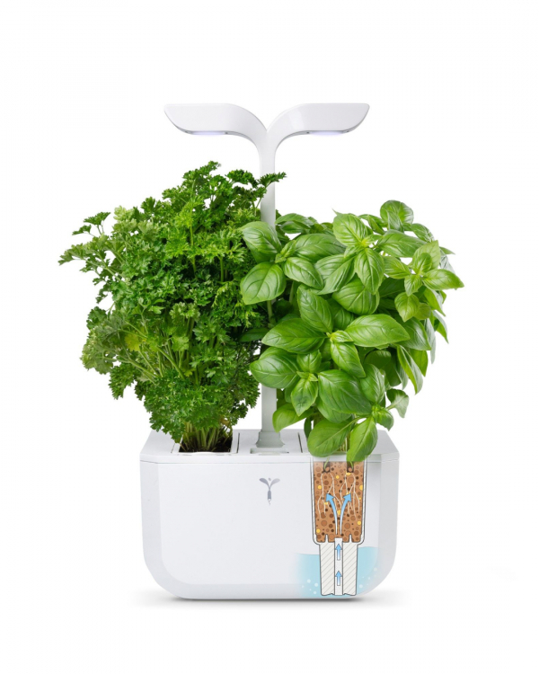 1-Year Anniversary Gifts | Paper Anniversary Gift Ideas for Husband and Wife | 1st Year Presents