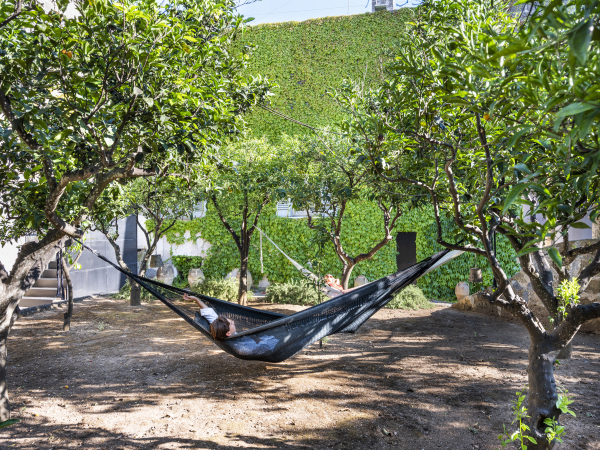 Venues Palazzo Daniele