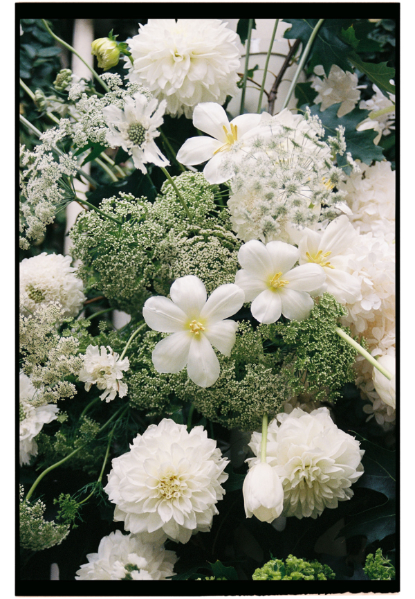 Photographers Alice Andre